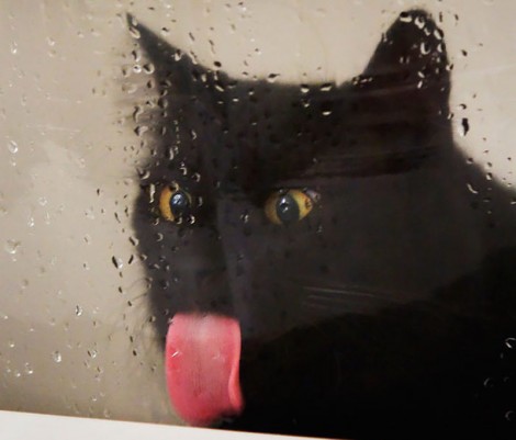 Licking Glass 8